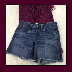 J CREW DENIM CUTOFF SHORTS 26